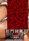 Japanese Anal Guide Japanese Anal Guide