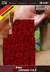 Peter Hardcore: Fick schneller 3 Peter Hardcore: Fick schneller 3