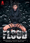 Flood Flood