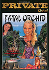 Gold - Fatal Orchid Gold - Fatal Orchid