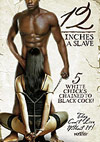 12 Inches A Slave 12 Inches A Slave